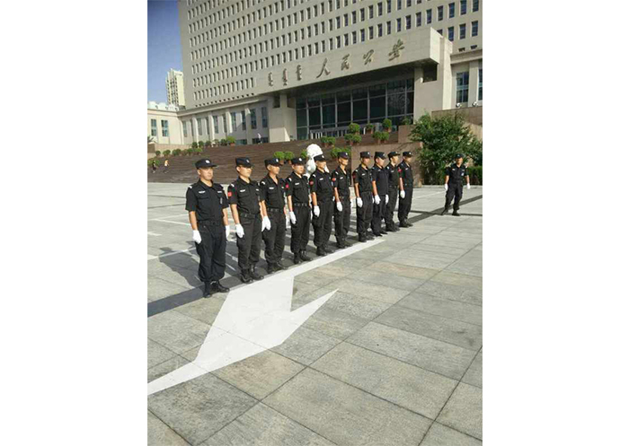 團(tuán)隊(duì)展示